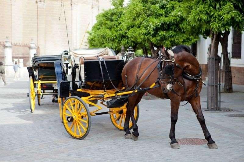 סביליה Hotel Dona Maria שירותים תמונה